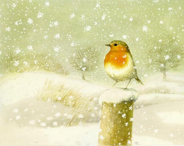 Lovely Bird Illustrations by Marjolein Bastin