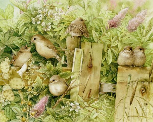 Lovely Bird Illustrations by Marjolein Bastin