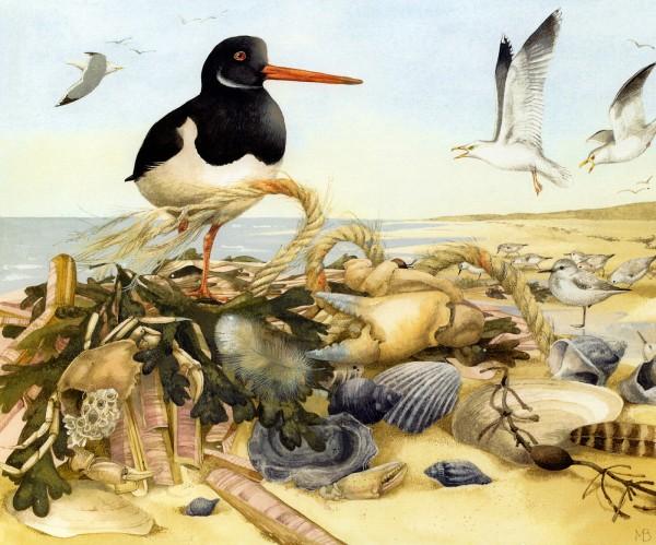 Lovely Bird Illustrations by Marjolein Bastin