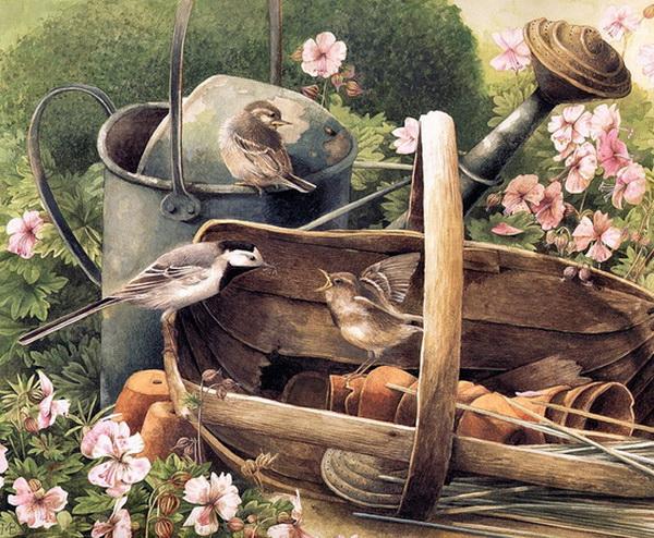 Lovely Bird Illustrations by Marjolein Bastin