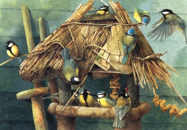Lovely Bird Illustrations by Marjolein Bastin