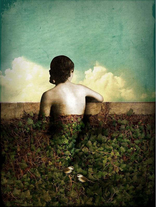 Mixed media Illustrations by Catrin Welz-Stein