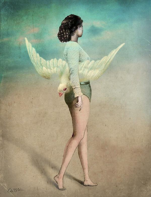 Mixed media Illustrations by Catrin Welz-Stein