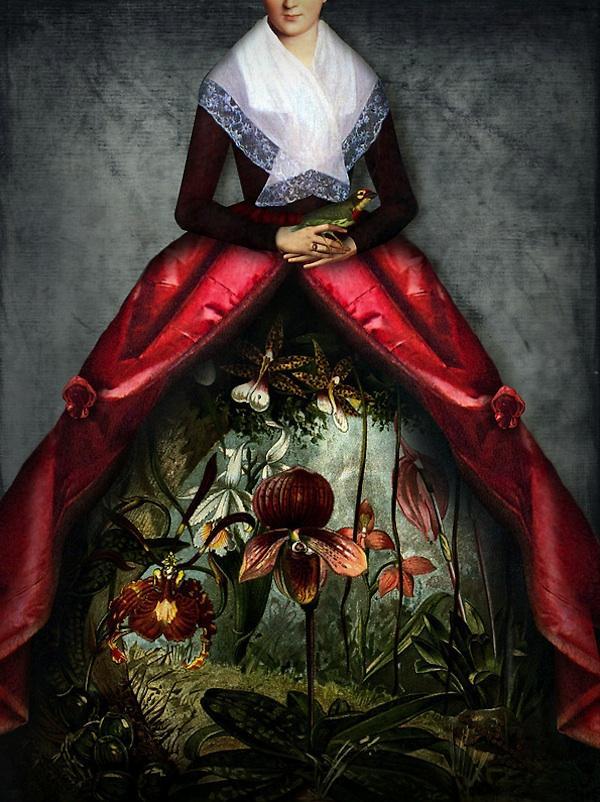 Mixed media Illustrations by Catrin Welz-Stein