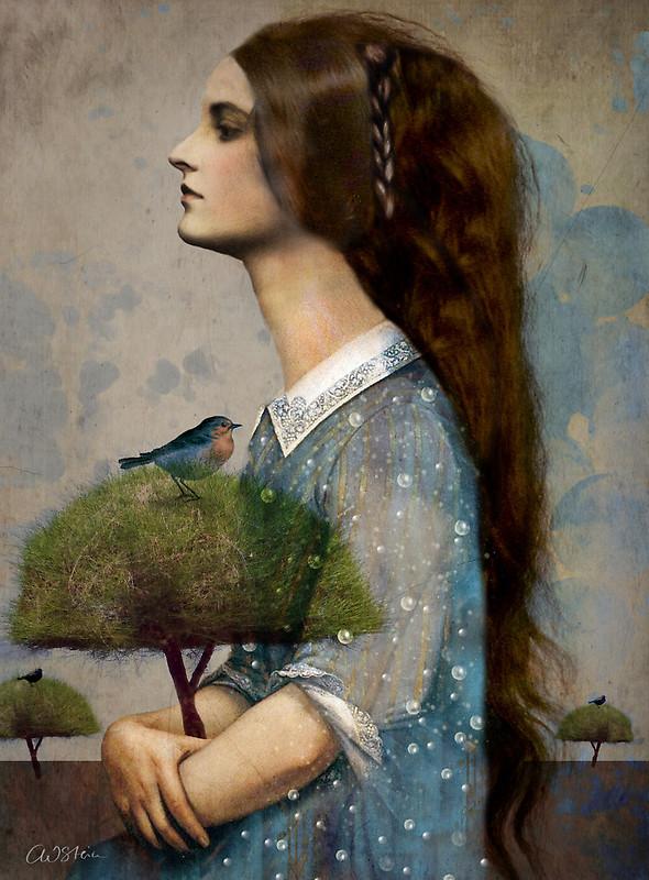 Mixed media Illustrations by Catrin Welz-Stein