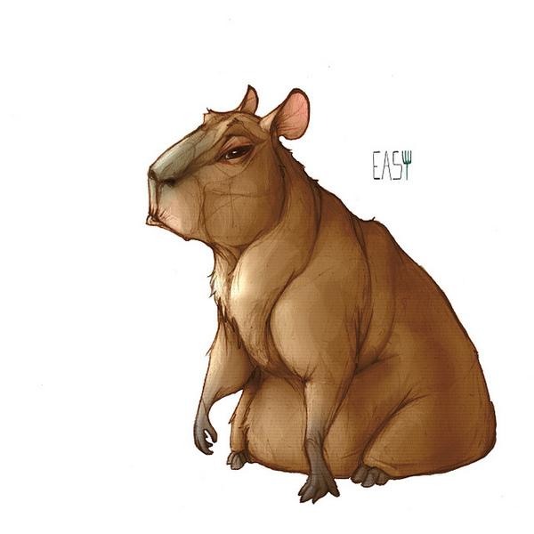 Whimsical Animal Illustrations by Erika