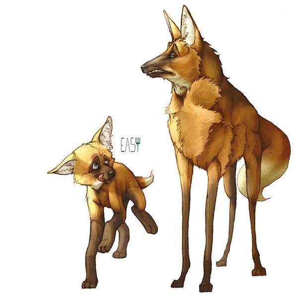 Whimsical Animal Illustrations by Erika