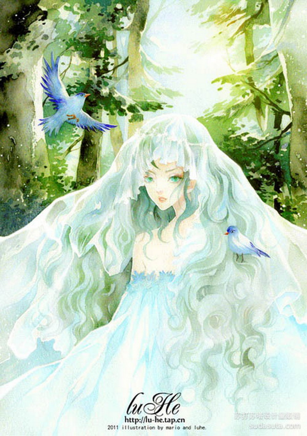 Illustrations by He Lu