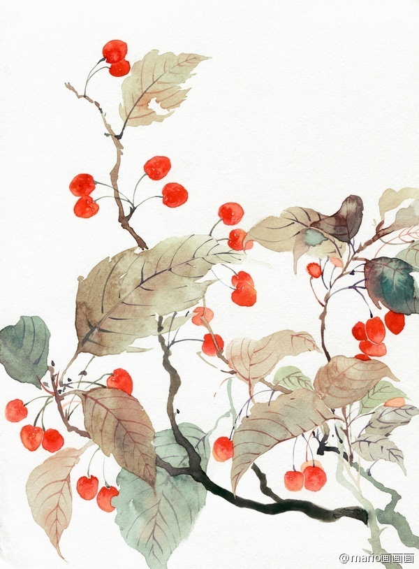 Illustrations by He Lu
