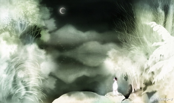 Illustrations by He Lu