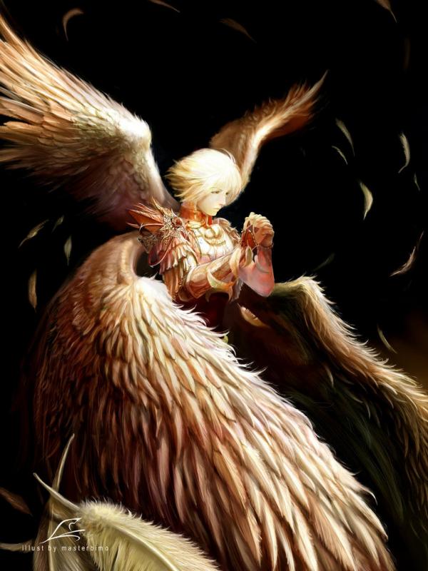 Illustrations by Mushimaro
