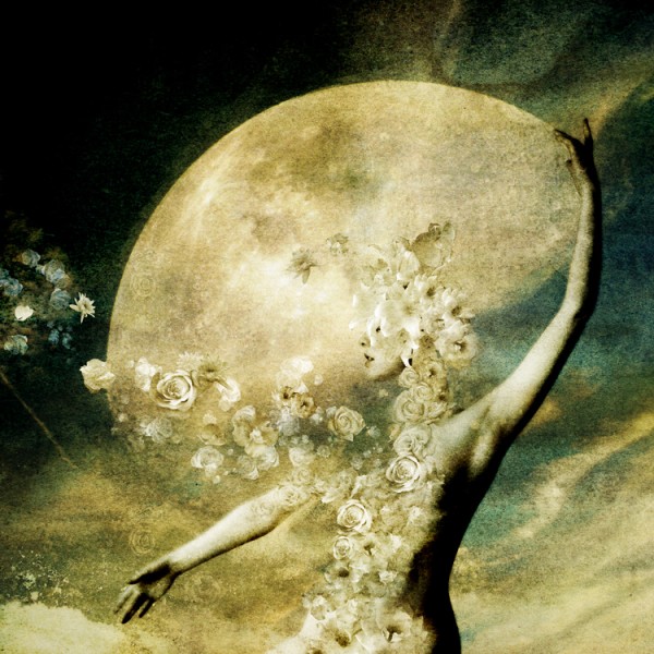 Illustrations by Khoa Le