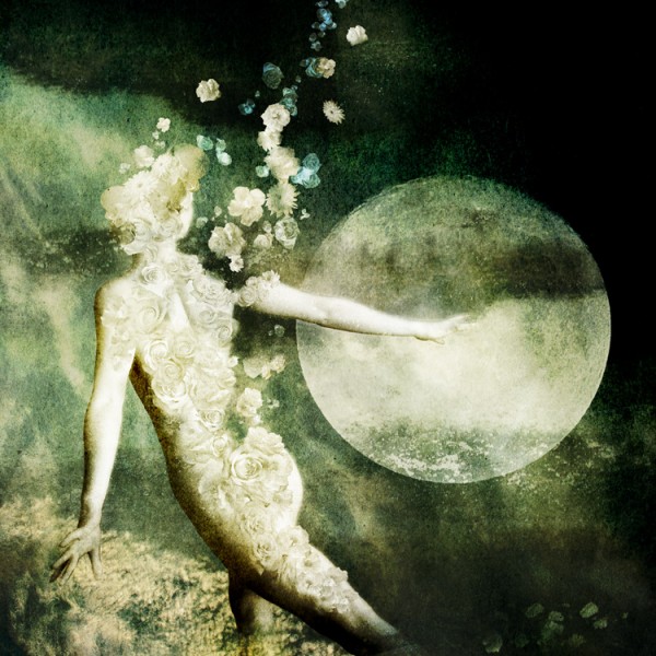 Illustrations by Khoa Le