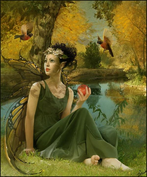 Illustration by Linda Bergkvist