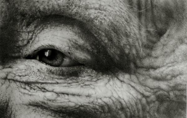 Photorealistic Eyes by Armin Mersmann