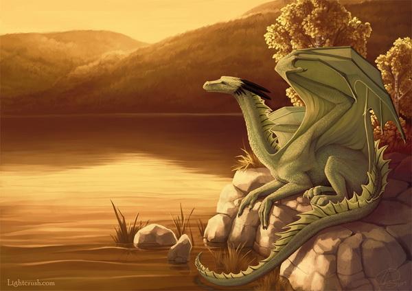 Flying Creatures by Jenna Vincent