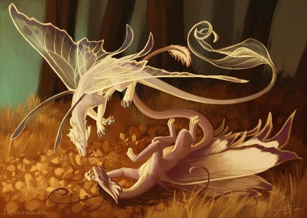 Flying Creatures by Jenna Vincent