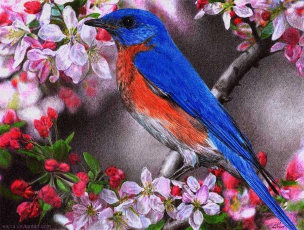Pencil Drawings by eajna