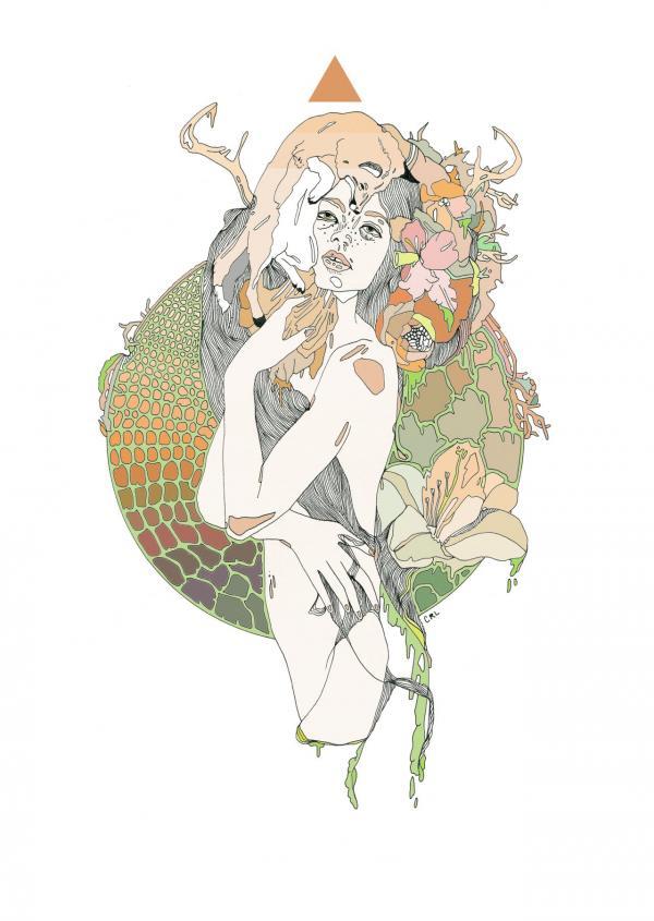 Illustrations by Cassidy Rae Limbach