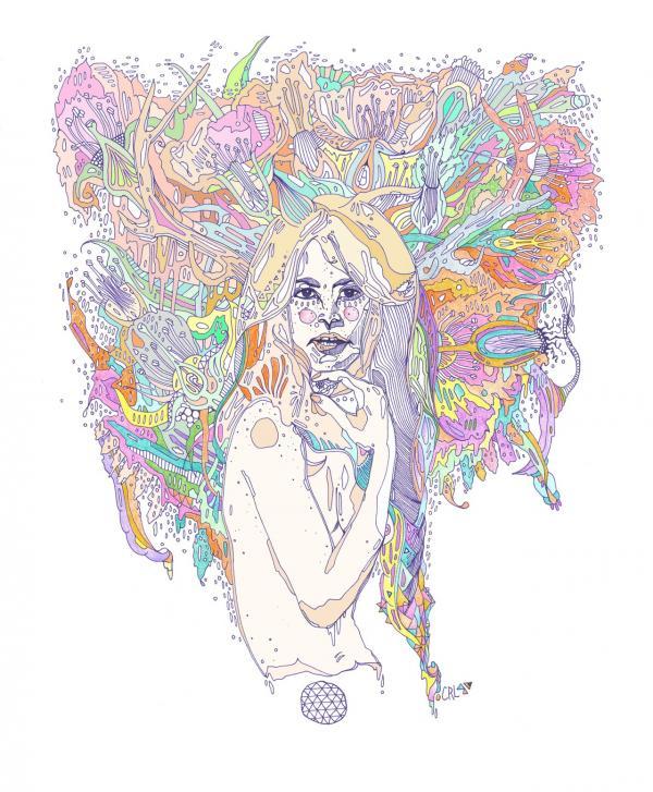 Illustrations by Cassidy Rae Limbach