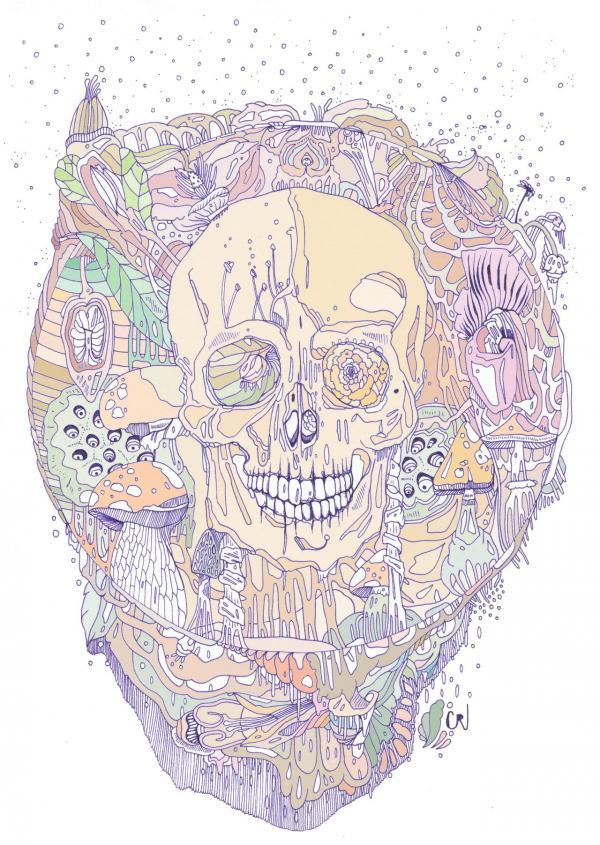 Illustrations by Cassidy Rae Limbach