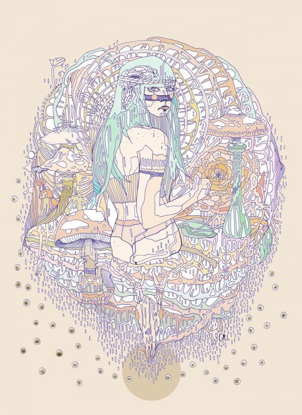 Illustrations by Cassidy Rae Limbach