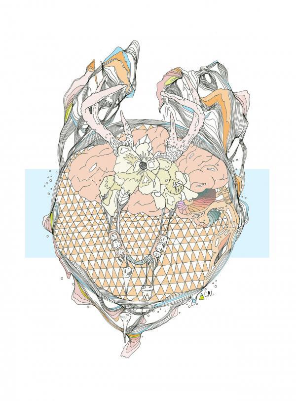 Illustrations by Cassidy Rae Limbach