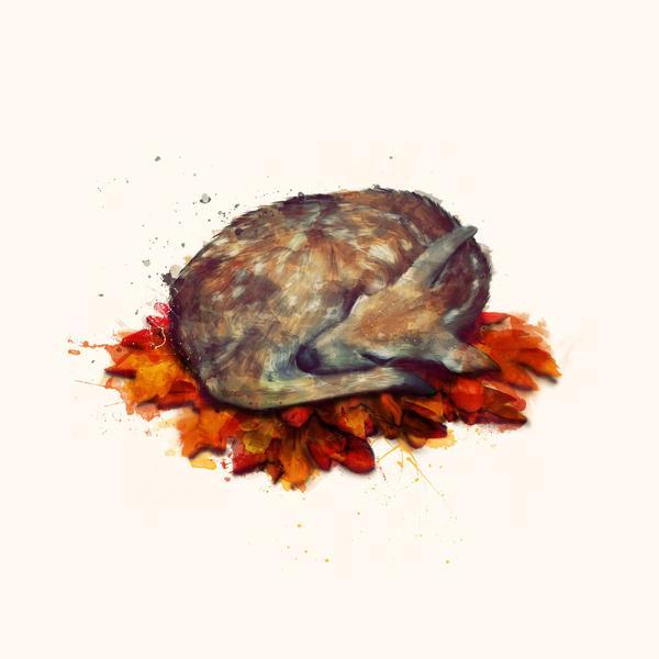 Animal Portraits by Amy Hamilton