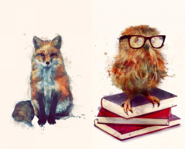 Animal Portraits by Amy Hamilton
