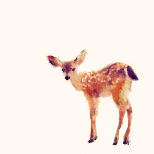 Animal Portraits by Amy Hamilton