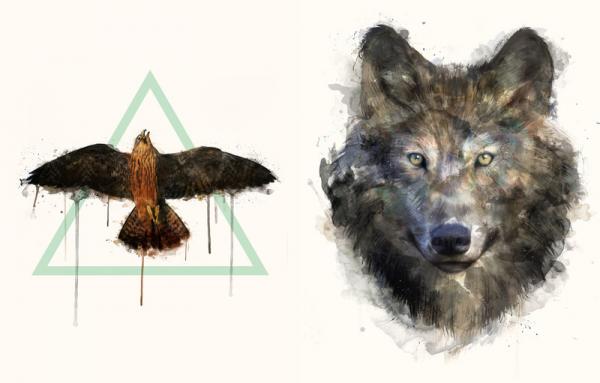 Animal Portraits by Amy Hamilton
