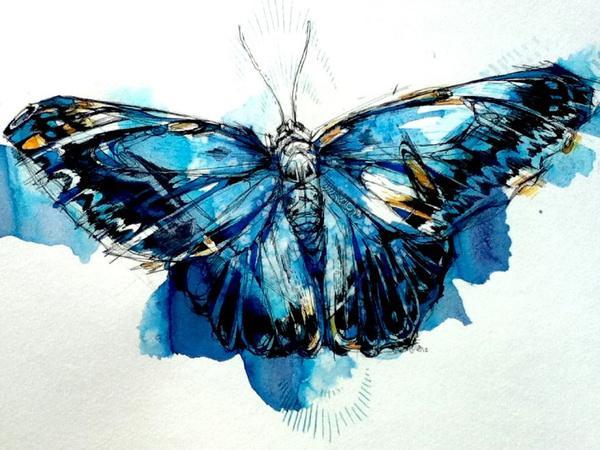 Watercolor Animals by Abby Diamond