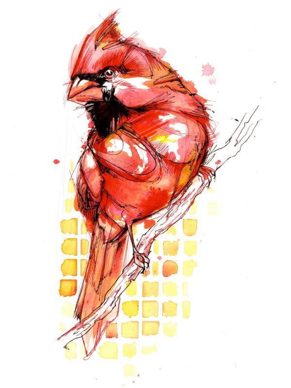 Watercolor Animals by Abby Diamond