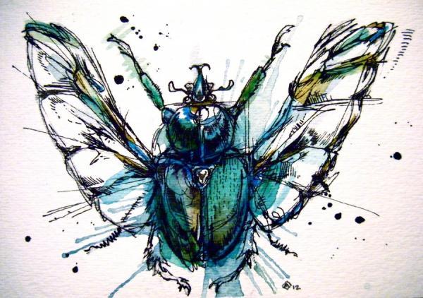 Watercolor Animals by Abby Diamond