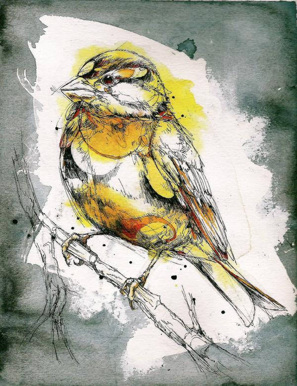 Watercolor Animals by Abby Diamond