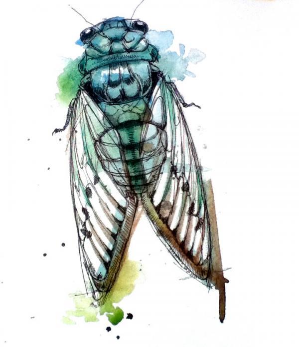 Watercolor Animals by Abby Diamond