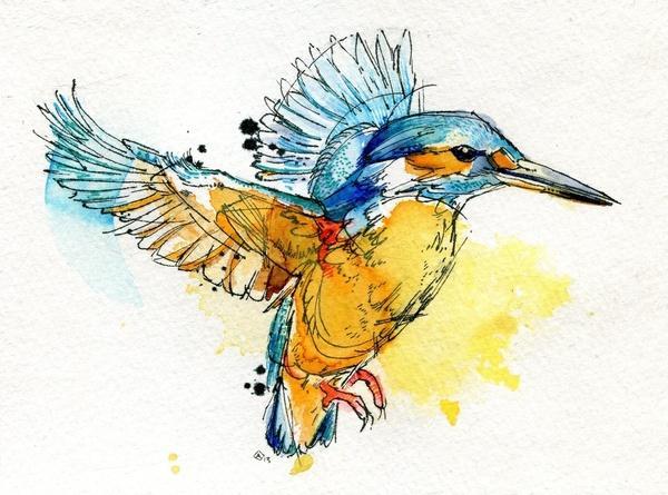 Watercolor Animals by Abby Diamond