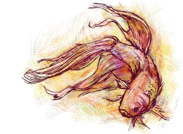 Watercolor Animals by Abby Diamond