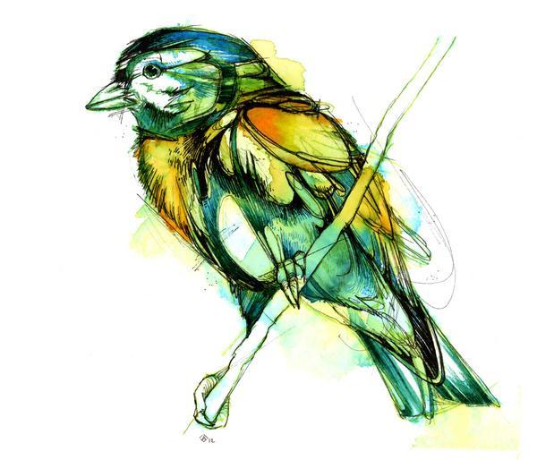 Watercolor Animals by Abby Diamond