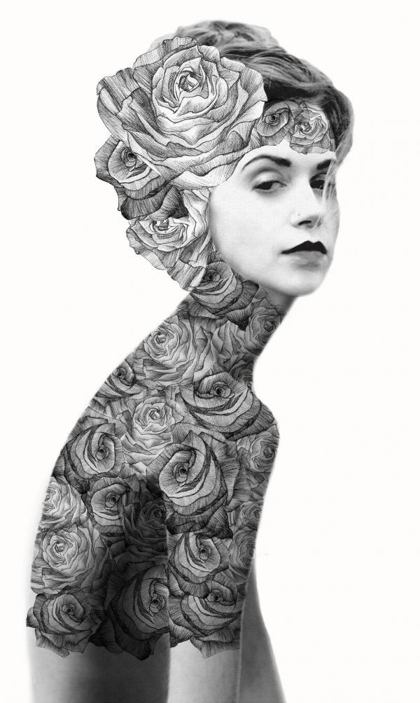 Illustrations by Jenny Liz Rome