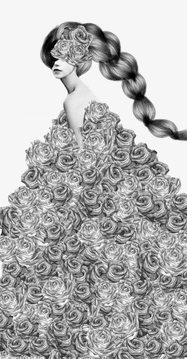 Illustrations by Jenny Liz Rome