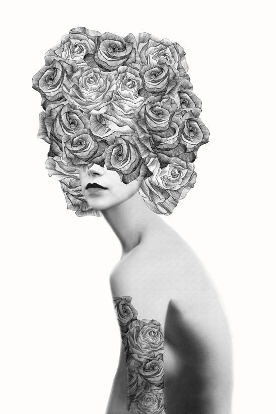 Illustrations by Jenny Liz Rome