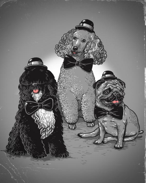 Illustrations by Alex Solis