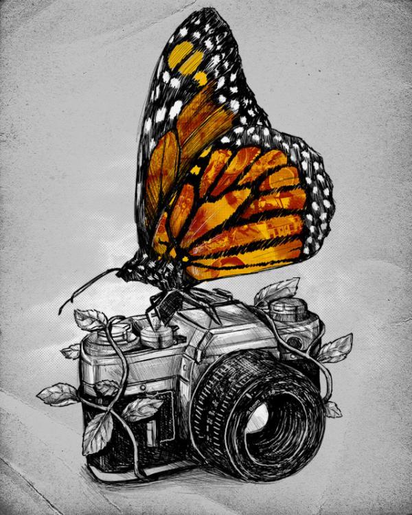 Illustrations by Alex Solis