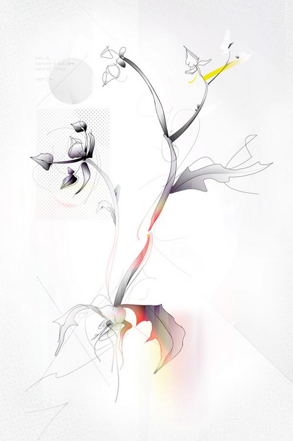 Illustrations by Benjamin White