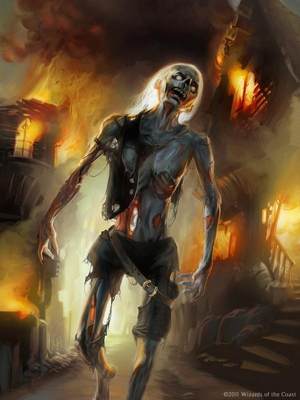 Illustrations by Cynthia Sheppard