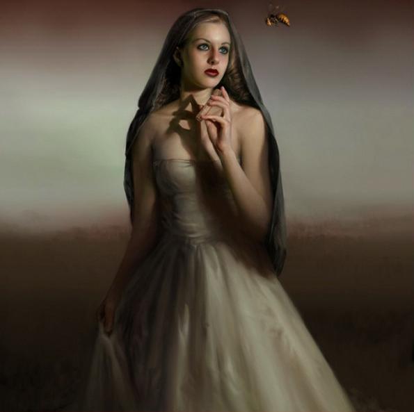 Illustrations by Cynthia Sheppard