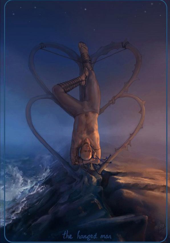 Illustrations by Cynthia Sheppard