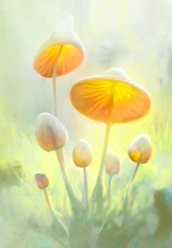 Digital Paintings by Tuomas Korpi