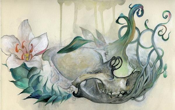 Illustratoins by Yukari Masuike